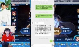 小雪黑粉爆料视频大全,视频大全深度解析