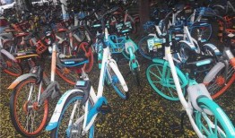 郑州自行车爆料最新消息,揭秘行业变革背后的秘密