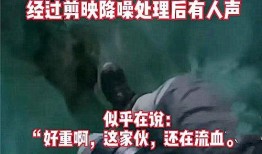 天涯爆料偷渡事件视频大全,天涯爆料偷渡事件视频大全深度解析