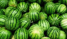 西安网红吃瓜事件真相,真相背后的网络狂欢与反思