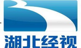 湖北经视频道在线观看,实时在线观看，尽享精彩瞬间