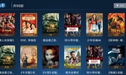 水神双子爆料视频在线观看,独家爆料视频带你领略神秘力量