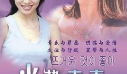 韩剧诱惑在线观看,韩剧中的虚拟与现实交织的悬疑世界