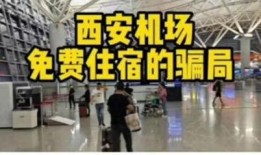 演员爆料机场是真的吗视频,真相究竟如何？