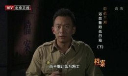 浴血东征在线观看,再现抗战烽火，重温民族抗争史诗