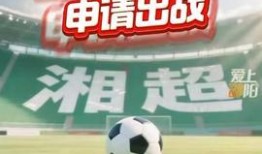 邵阳今日头条爆料,惊曝重大事件，揭秘真相！