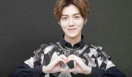 鹿晗娱料爆料事件视频,真相与谣言的较量