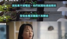 合阳小三爆料视频曝光事件,真相与争议交织