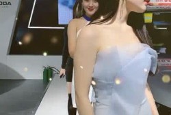 模特姐姐爆料视频完整版,揭秘幕后的真实故事