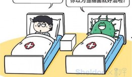 诈骗犯爆料动漫视频播放,动漫视频播放背后的惊天骗局
