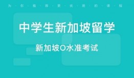 新加坡留学爆料事件视频,揭秘校园生活真相与争议
